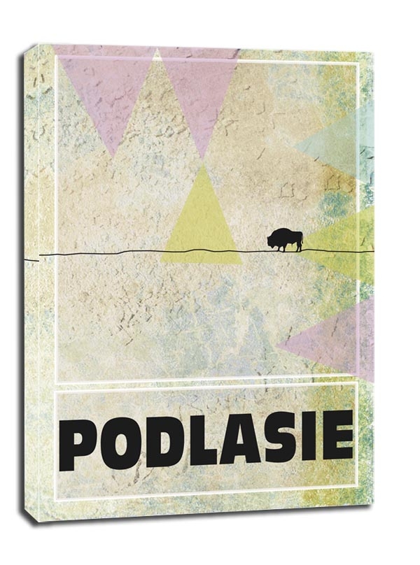 Image of Podlasie - obraz na płótnie Wymiar do wyboru: 60x80 cm