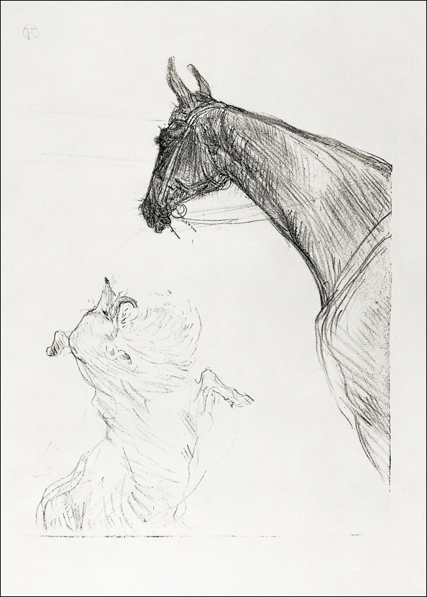 Image of Horse and Collie, Henri De Toulouse-Lautrec - plakat Wymiar do wyboru: 30x40 cm