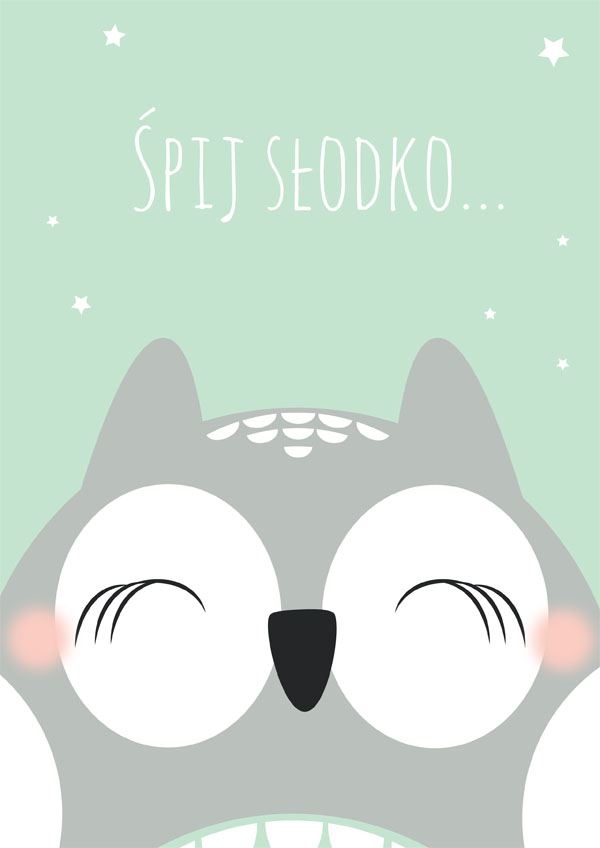 Image of Śpiąca sowa miętowe tło - plakat Wymiar do wyboru: 20x30 cm