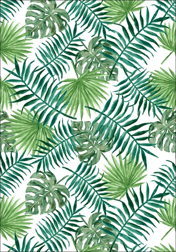 Image of Liście tropikalne - plakat Wymiar do wyboru: 61x91,5 cm
