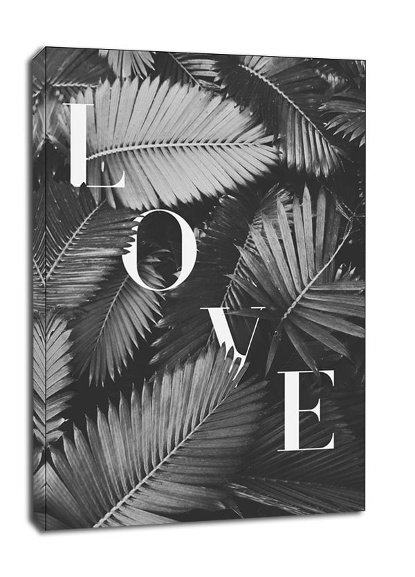 Image of Liście Love BW - obraz na płótnie Wymiar do wyboru: 50x70 cm