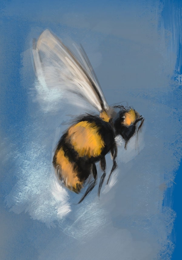 Image of Pszczoła - plakat Wymiar do wyboru: 60x80 cm