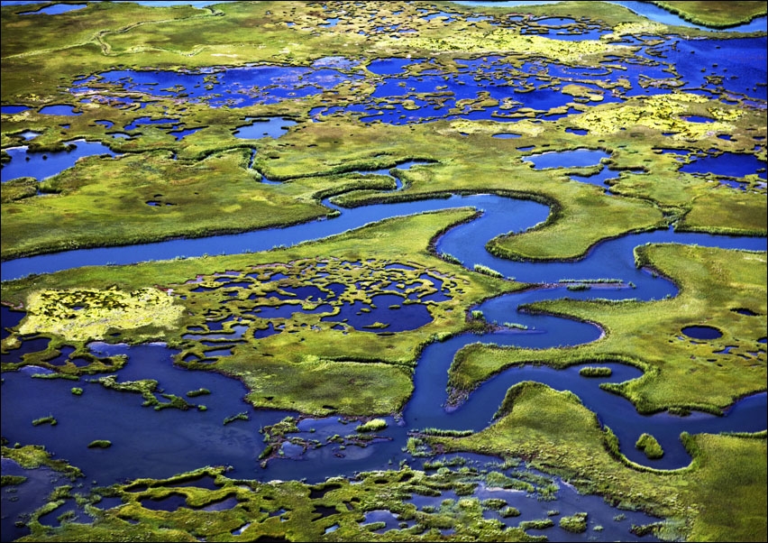 Image of Marshlands on the New Jersey Shore near Little Egg Harbor, New Jersey., Carol Highsmith - plakat Wymiar do wyboru: 29,7x21 cm