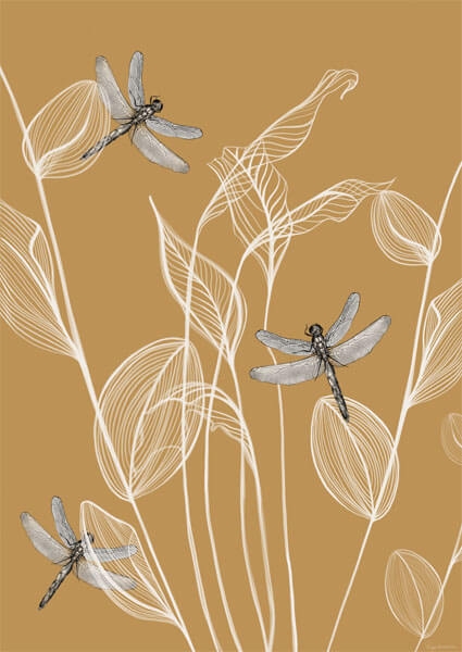 Image of Ważki - plakat Wymiar do wyboru: 29,7x42 cm