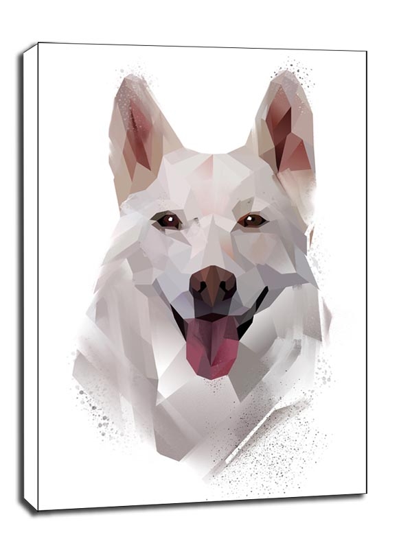 Image of husky - obraz na płótnie Wymiar do wyboru: 60x80 cm