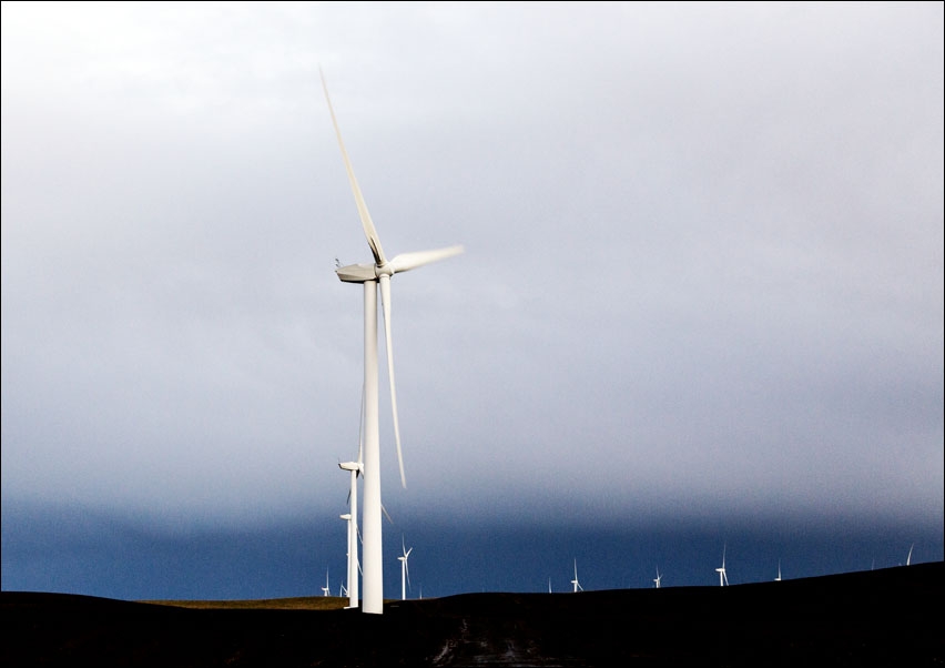 Image of A wind farm off California Rt., Carol Highsmith - plakat Wymiar do wyboru: 29,7x21 cm