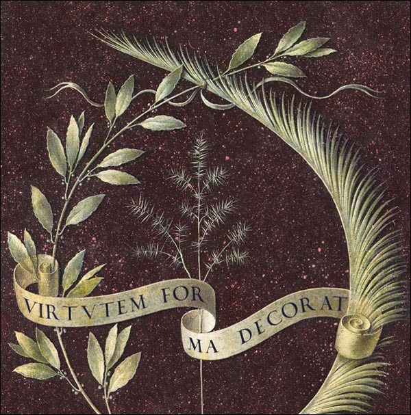 Image of Wreath of Laurel, Palm, and Juniper with a Scroll inscribed Virtutem Forma Decorat, Leonardo Da Vinci - plakat Wymiar do wyboru: 60x60 cm