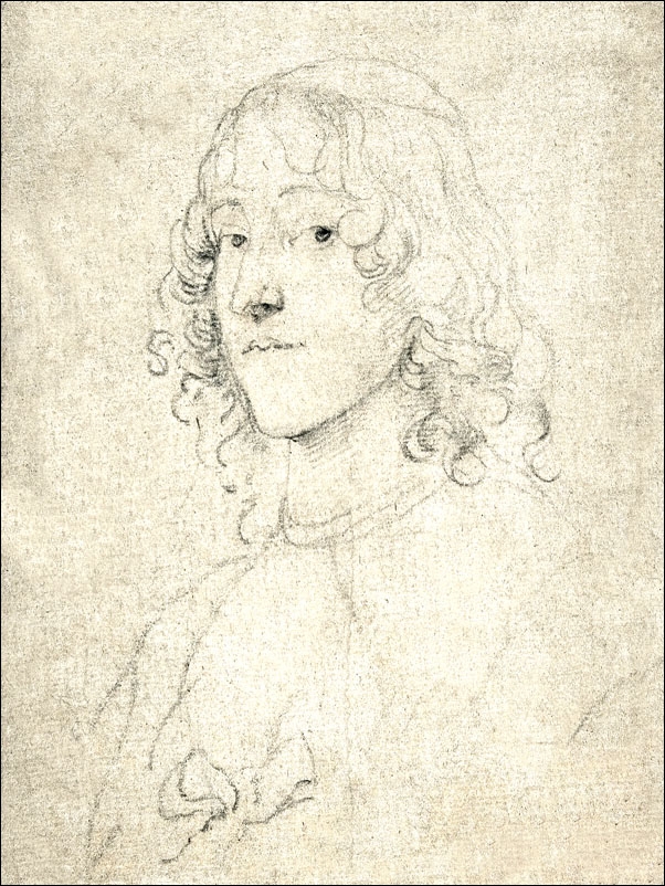 Image of Portrait Study, Anthony van Dyck - plakat Wymiar do wyboru: 60x80 cm