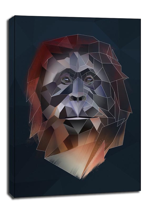 Image of orangutan tło - obraz na płótnie Wymiar do wyboru: 40x60 cm