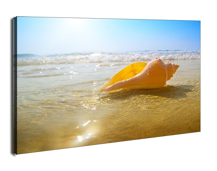 Image of Muszelka na plaży, ocean - obraz na płótnie Wymiar do wyboru: 100x70 cm