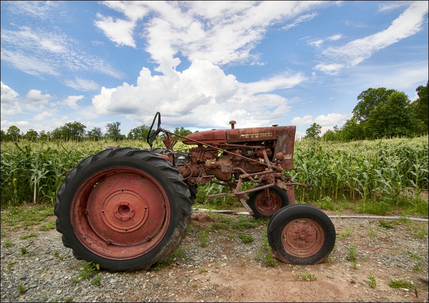 Image of Vintage tractor beside a cornfield near in Habersham County, Georgia, Carol Highsmith - plakat Wymiar do wyboru: 42x29,7 cm