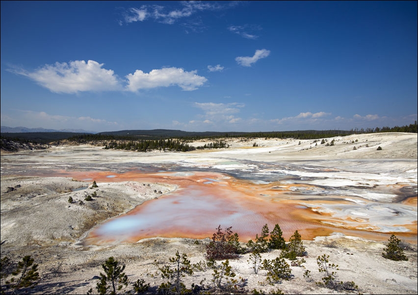 Image of Mudpots and hot springs color the terrain in northwestern Wyoming's Yellowstone National Park, Carol Highsmith - plakat Wymiar do wyboru: 60x40 cm