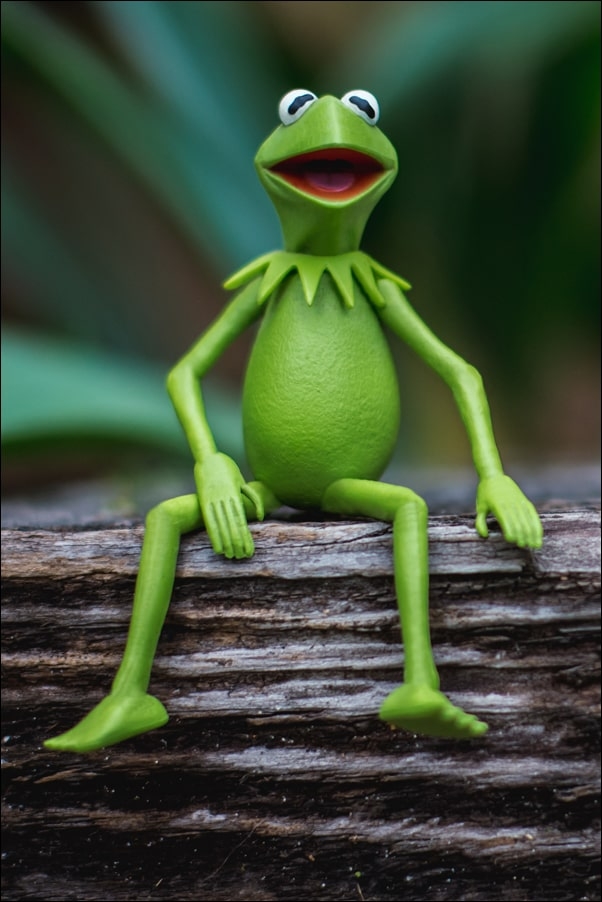 Image of Kermit Żaba I - plakat Wymiar do wyboru: 30x40 cm