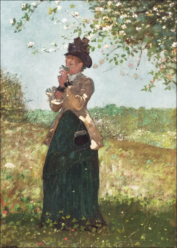 Image of The Yellow Jacket, Winslow Homer - plakat Wymiar do wyboru: 29,7x42 cm