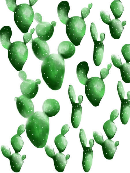 Image of kaktusy wzór - plakat wymiar do wyboru: 40x50 cm