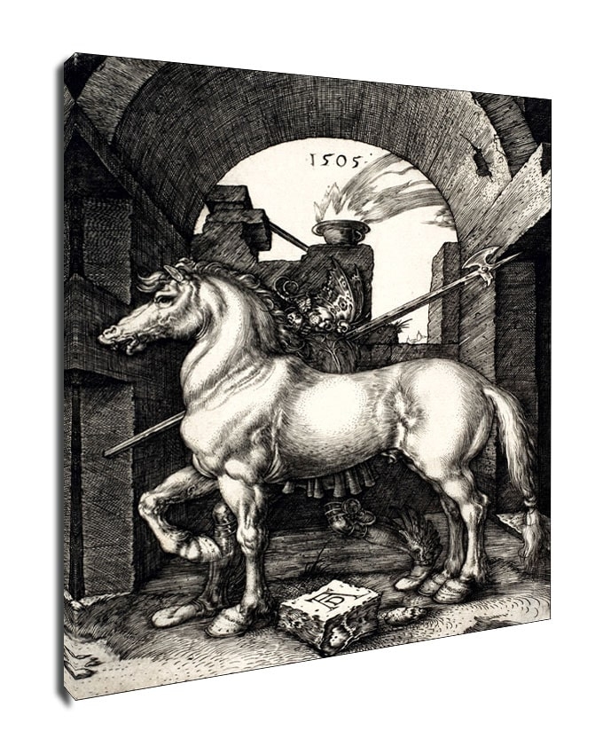 Image of The Little Horse, Albrecht Durer - obraz na płótnie Wymiar do wyboru: 50x70 cm