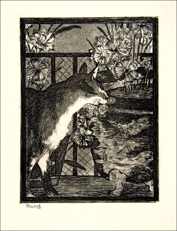 Image of Cat and Flowers, Edouard Manet - plakat Wymiar do wyboru: 30x40 cm