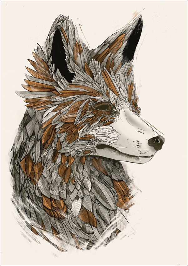 Image of Feathered Fox 2 - plakat Wymiar do wyboru: 70x100 cm