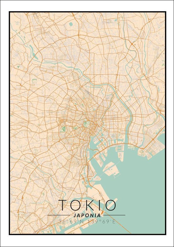 Image of Tokio mapa kolorowa - plakat Wymiar do wyboru: 30x40 cm