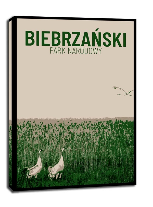 Image of Parki Narodowe, Biebrza - obraz na płótnie Wymiar do wyboru: 50x70 cm