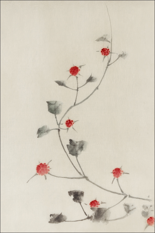 Image of Small Red Blossoms on a Vine, Hokusai - plakat Wymiar do wyboru: 40x50 cm