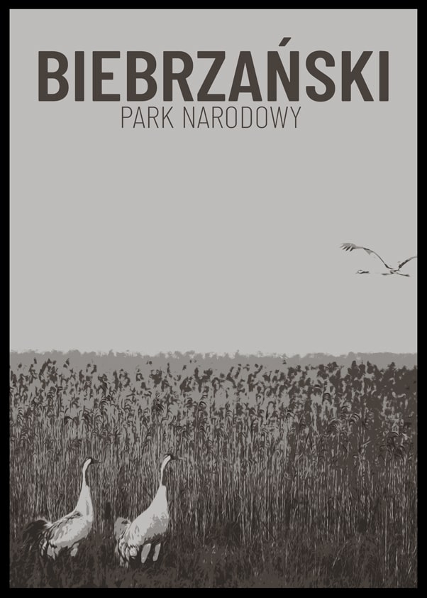 Image of Parki Narodowe, Biebrza b&w - plakat Wymiar do wyboru: 50x70 cm