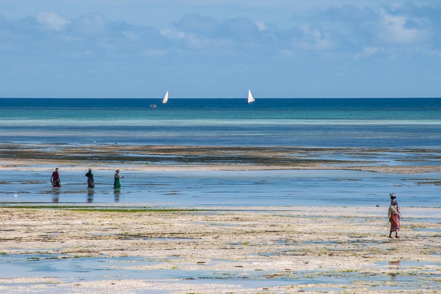Image of Turkusem malowane Zanzibar - plakat Wymiar do wyboru: 60x40 cm