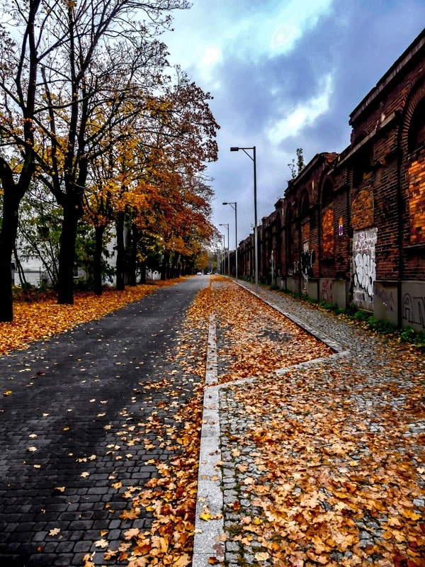 Image of Jesień - plakat Wymiar do wyboru: 50x70 cm