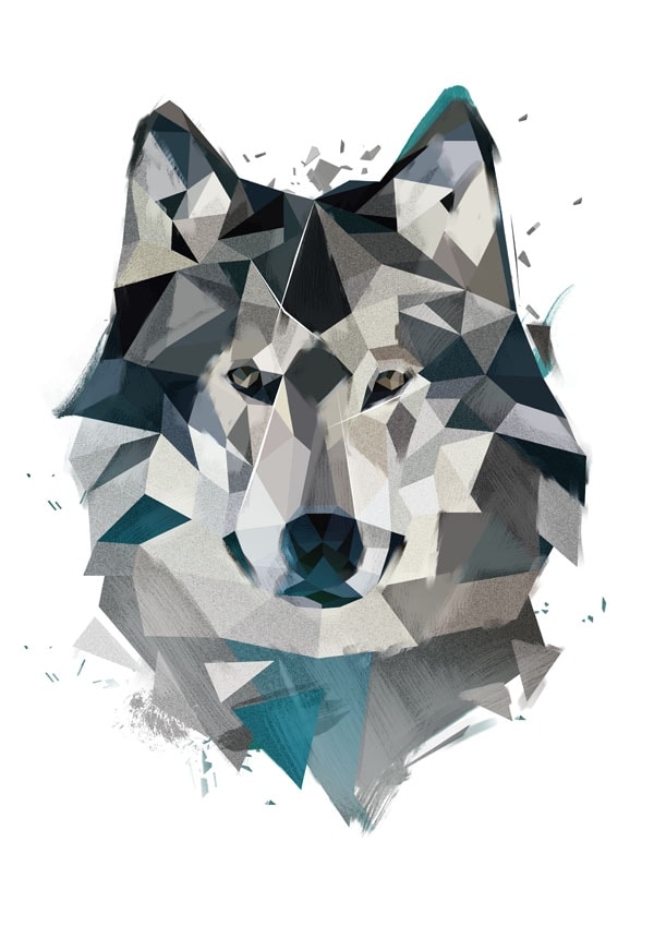 Image of Wilk - plakat Wymiar do wyboru: 30x40 cm