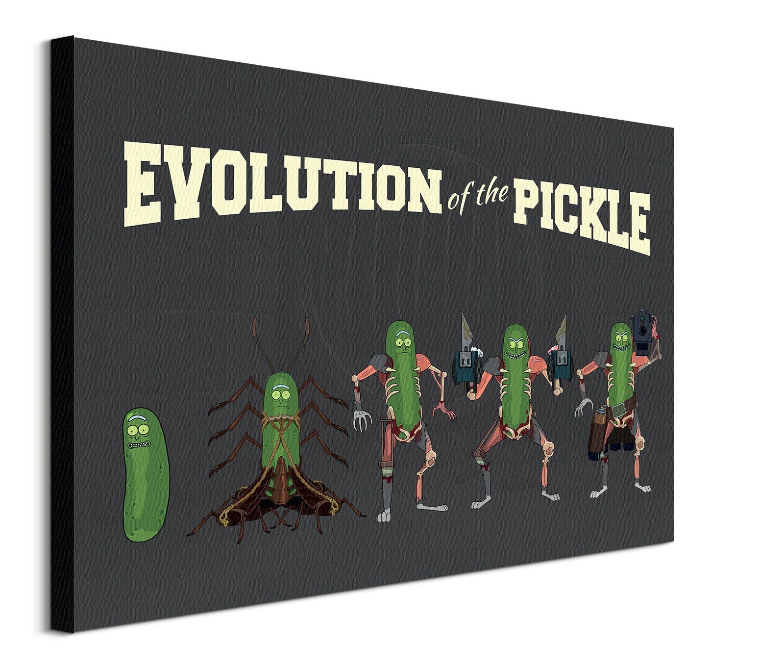 Image of Rick and Morty Evolution Of The Pickle - obraz na płótnie