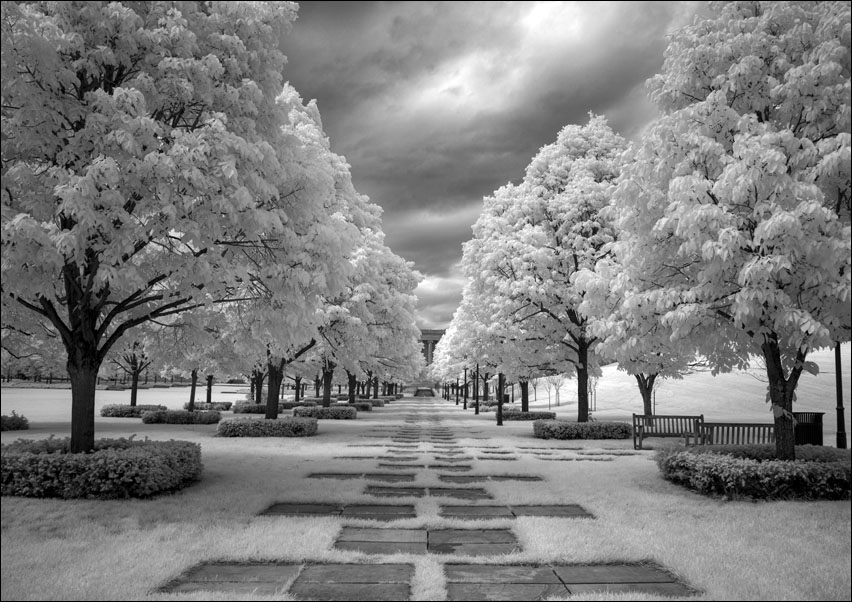 Image of Lincoln memorial park in Washington D.C., Carol Highsmith - plakat Wymiar do wyboru: 40x30 cm