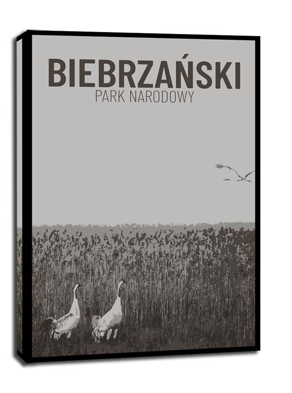 Image of Parki Narodowe, Biebrza b&w - obraz na płótnie Wymiar do wyboru: 50x70 cm
