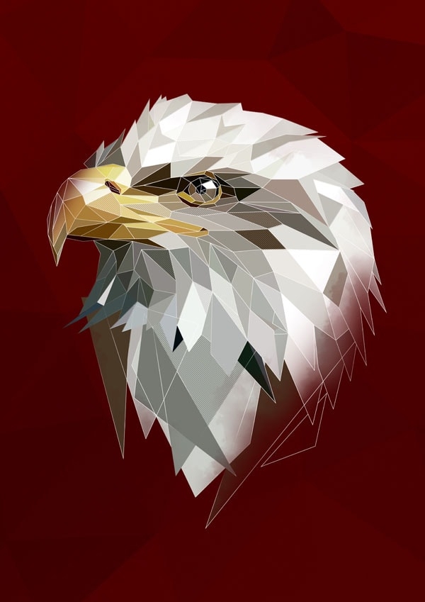 Image of Orzel II ciemne tło - plakat Wymiar do wyboru: 40x50 cm