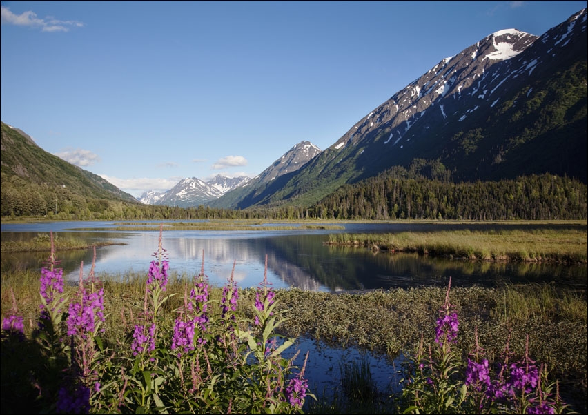 Image of Scenic view from the Seward Highway in the Chugach National Forest, Carol Highsmith - plakat Wymiar do wyboru: 100x70 cm
