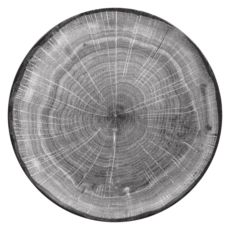 Woodart talerz płaski szary 29 cm RAK