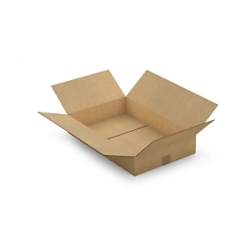10 x Karton 580x380x170 tektura 5-warstwowa RAJA