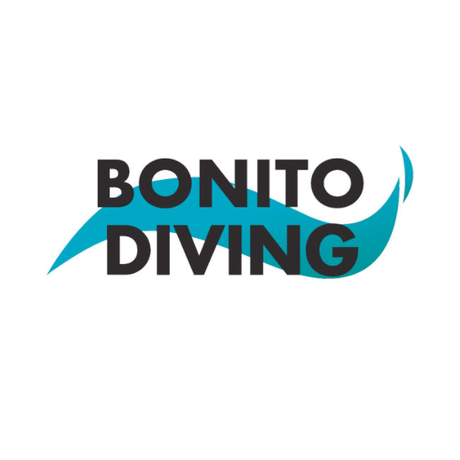 Nurkowanie Mazury / Lanzarote Bonito diving